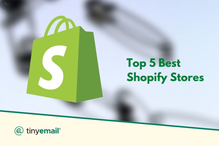 Top 5 Best Shopify Stores